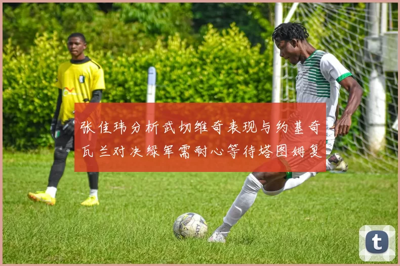 张佳玮分析武切维奇表现与约基奇瓦兰对决绿军需耐心等待塔图姆复出
